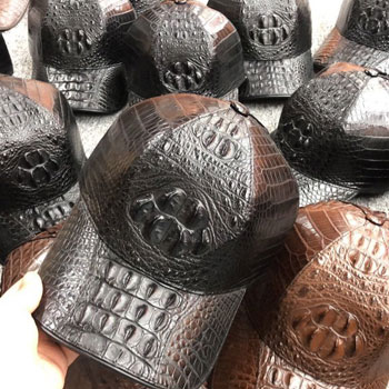 Crocodile hats