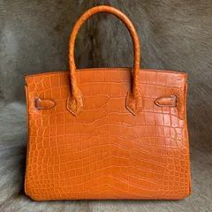 Luxury Genuine Alligator Handbag XFCAB12043 image 1