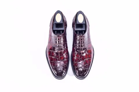 Mens Alligator Lace Up Shoes BMBAS12001