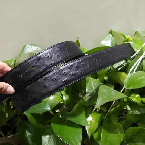 Black Ostrich Skin Belt FMBOB12001
