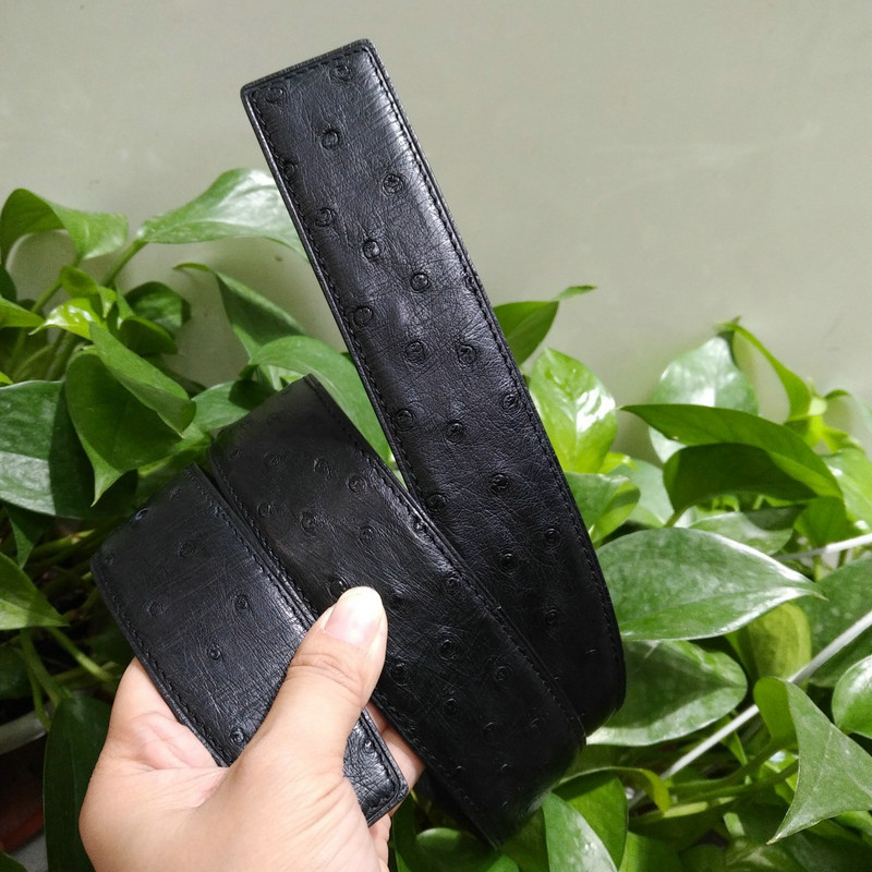 Black Ostrich Skin Belt FMBOB12001 image 2