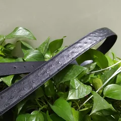 Black Ostrich Skin Belt FMBOB12001 image 3