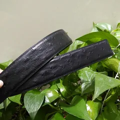 Black Ostrich Skin Belt FMBOB12001 image 4
