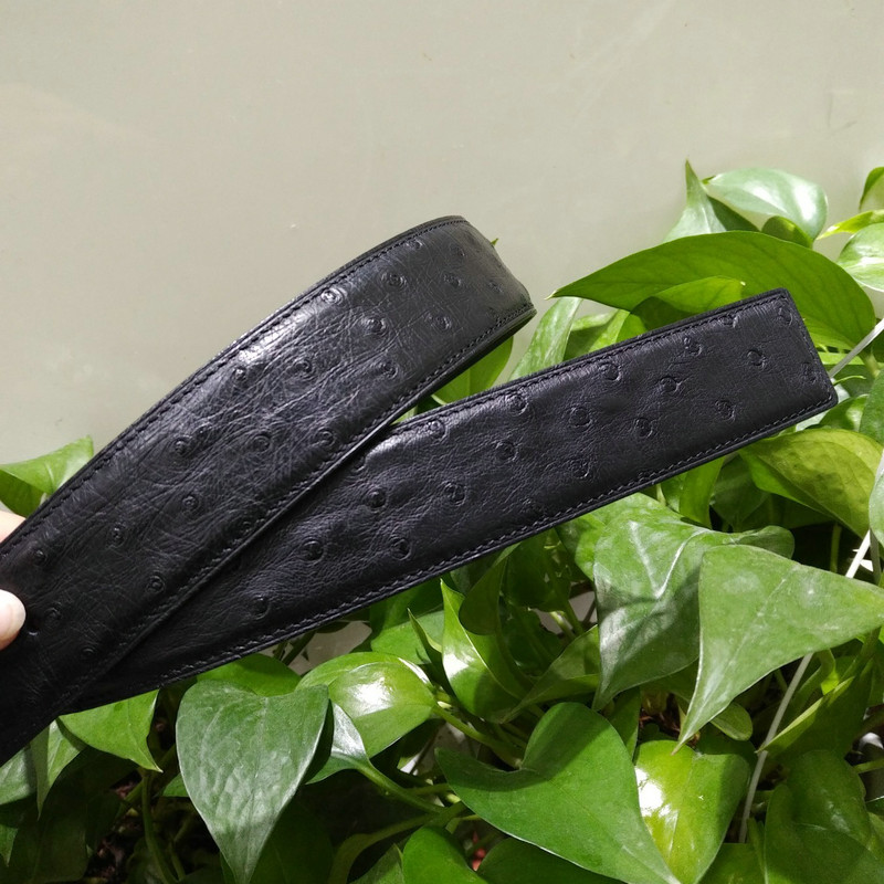 Black Ostrich Skin Belt FMBOB12001 image 4