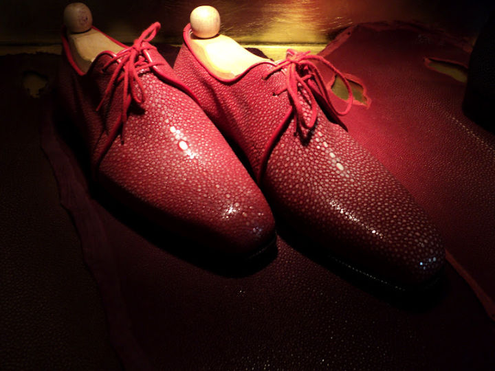 How to distinguish exotic skin article image