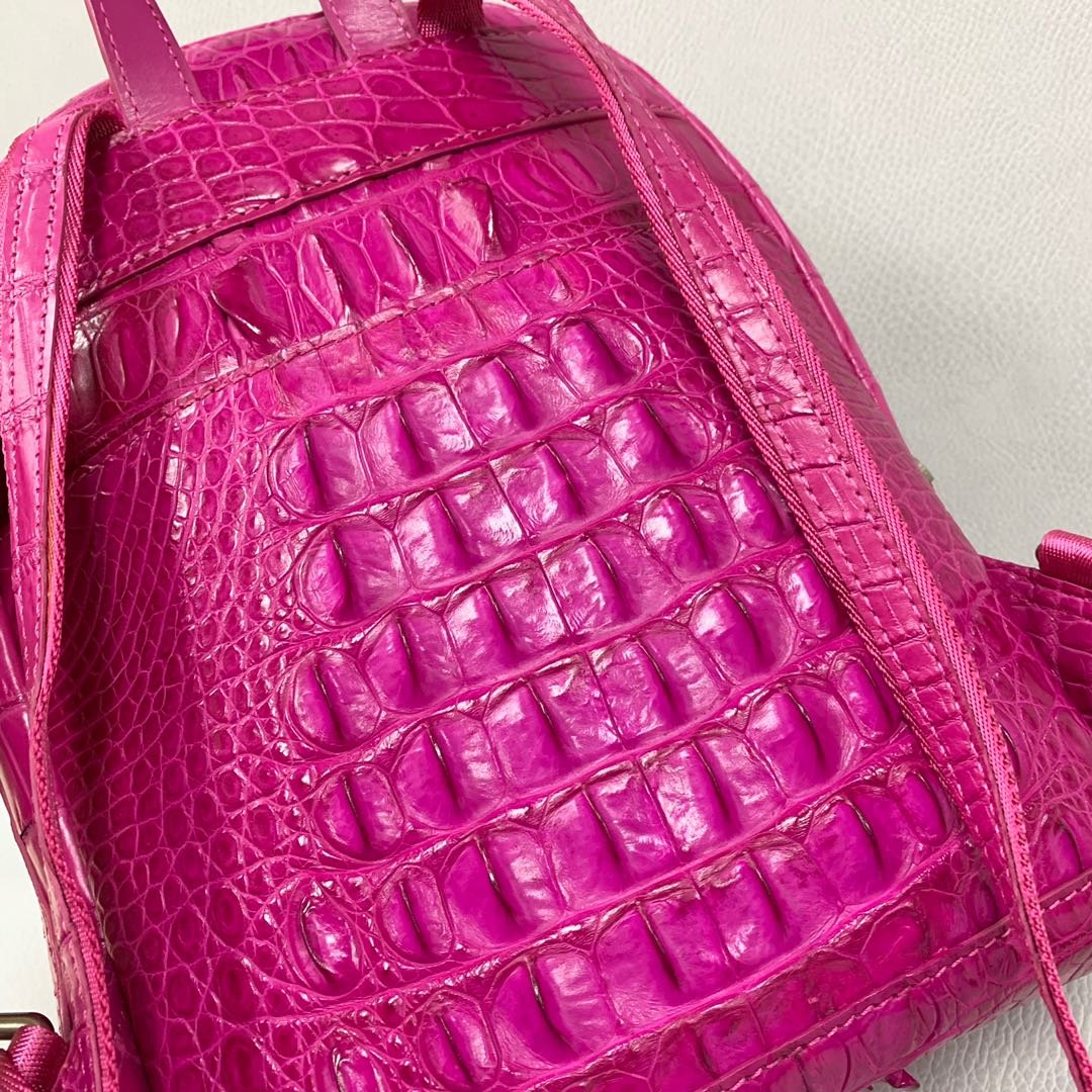 Crocodile Lady Backpacks XFCAB12033 image 3