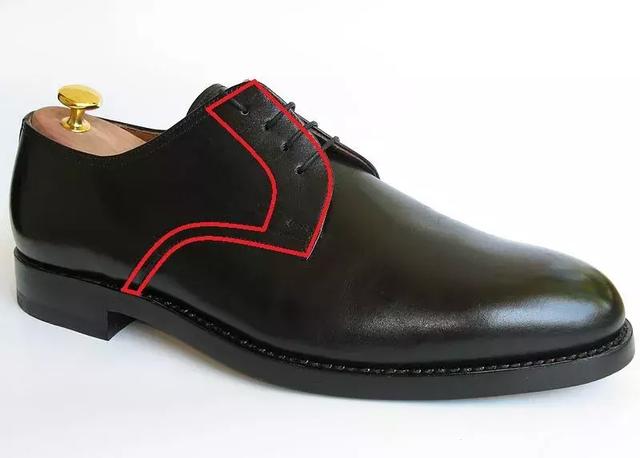 Different types of leather shoes article image