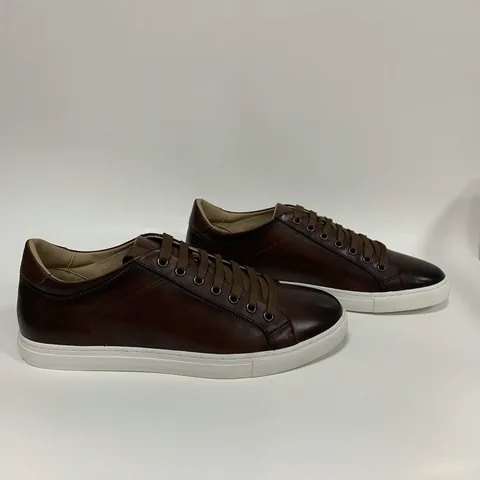 Brown Color Applied Low Top Elegant Trainers MBS110