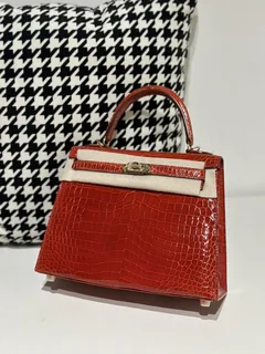 Crocodile Leather Ferrari Red 25cm Glossy Gold Hardware Top Handle Bag WCB165 image 1