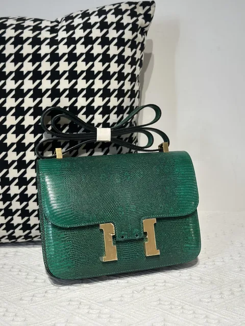 Lizard Leather Green 23cm Gold Hardware Flap Shoulder Bag WLB003