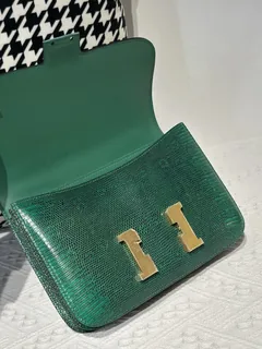 Lizard Leather Green 23cm Gold Hardware Flap Shoulder Bag WLB003 image 2