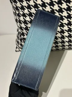 Lizard Leather Sky Blue Silver Hardware Series I Flap Shoulder Bag WLB066 image 6