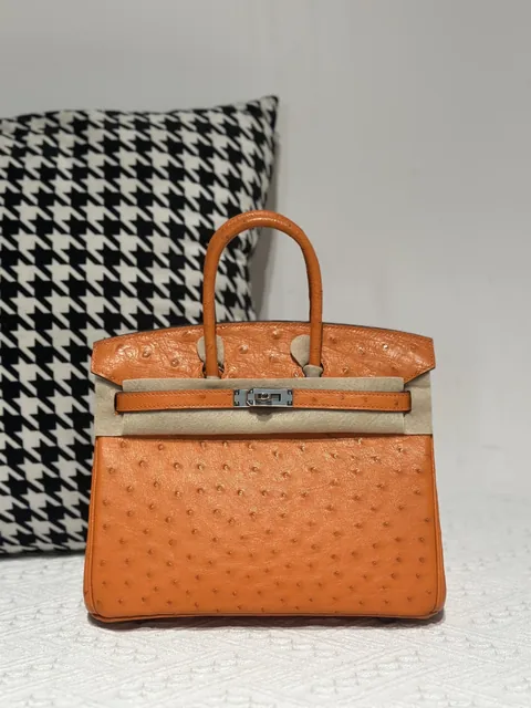 Ostrich Leather Orange 25cm Silver Hardware Top Handle Tote Bag WOB008
