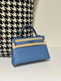 Ostrich Leather Aqua Blue Silver Hardware Series II Top Handle Bag WOB043 image 1