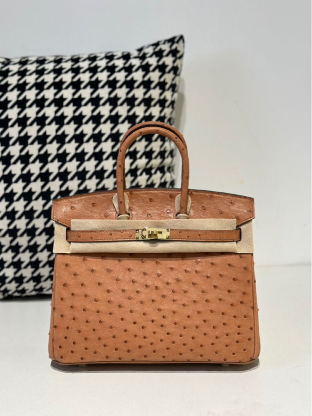 Ostrich Leather 25cm Top Handle Tote Bag Collection WOB064 photo 2