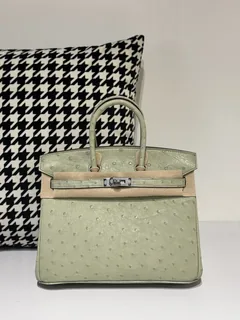 Ostrich Leather Sage Green 25cm Silver Hardware Top Handle Tote Bag WOB065 image 1