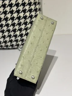 Ostrich Leather Sage Green Silver Hardware Series II Top Handle Bag WOB066 image 6