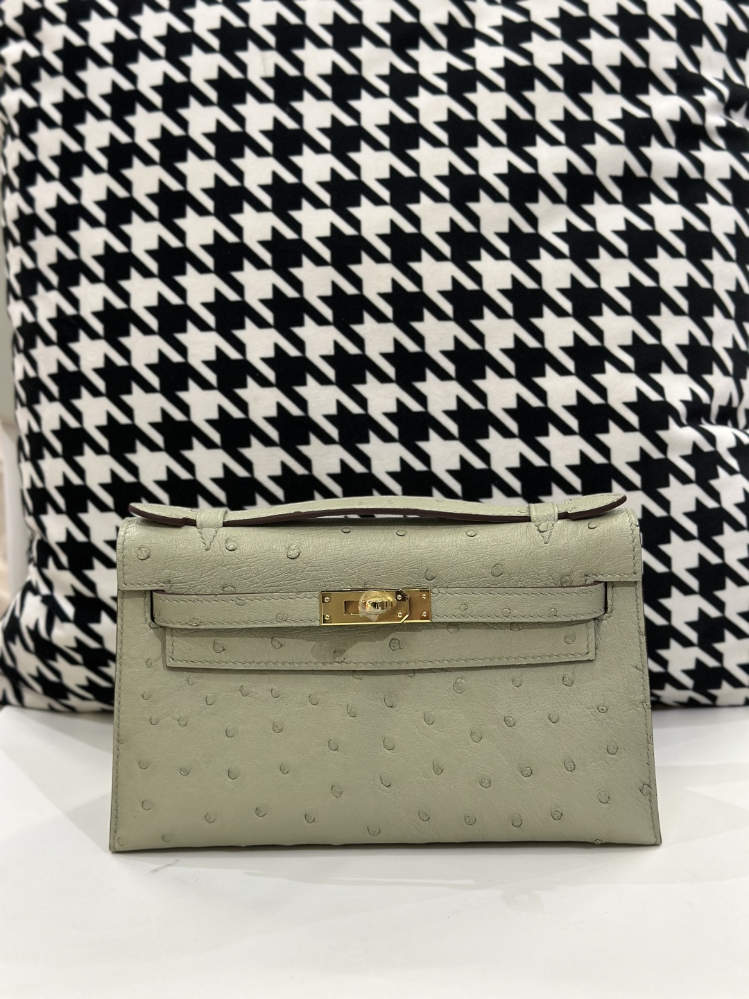 Ostrich Leather Silver Hardware Series I Turn-Lock Pochette Bag Collection WOB072 photo 2