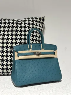 Ostrich Leather Aqua Blue 25cm Silver Hardware Top Handle Tote Bag WOB103 image 2