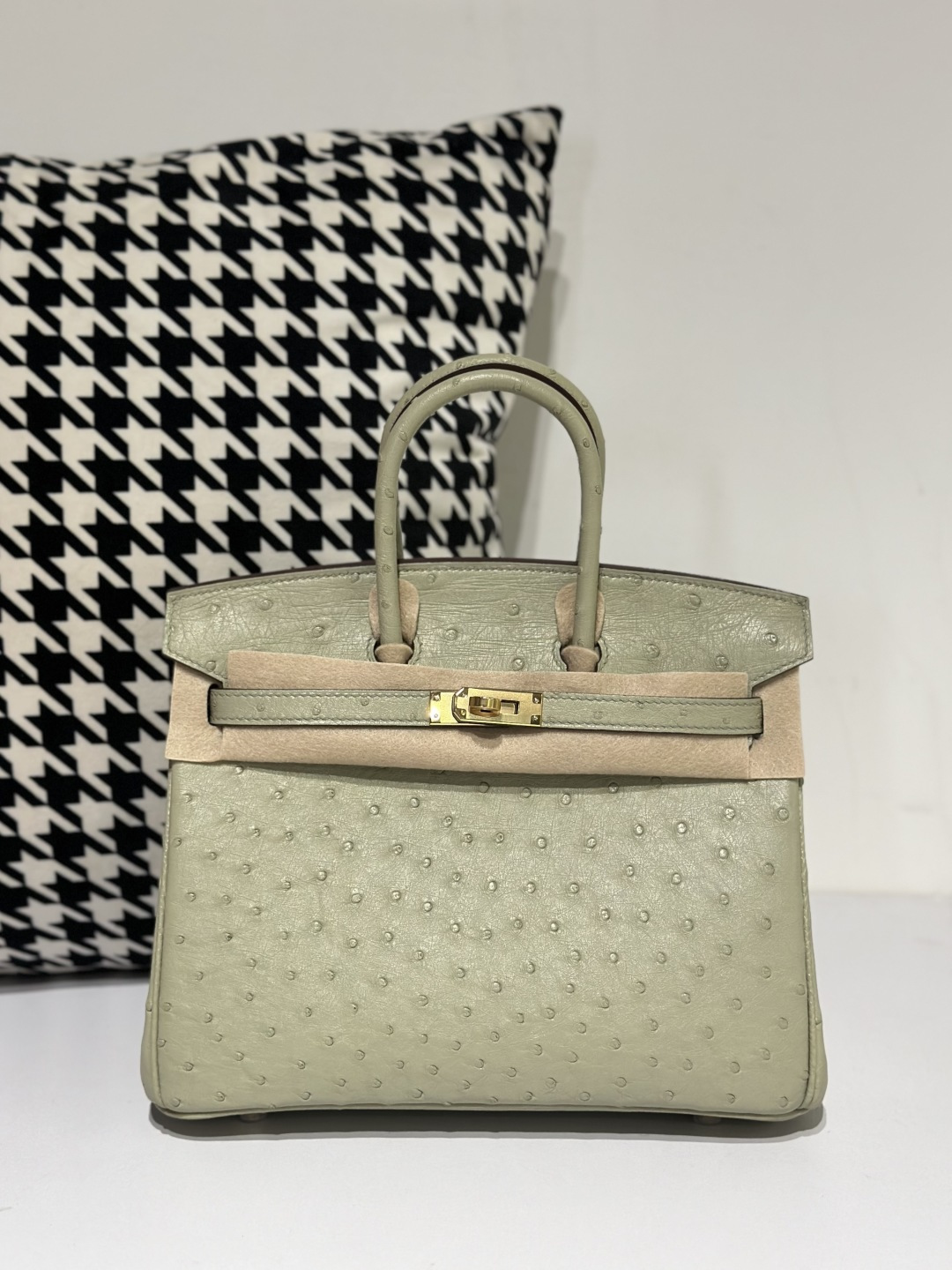 Ostrich Leather 25cm Top Handle Tote Bag Collection WOB039